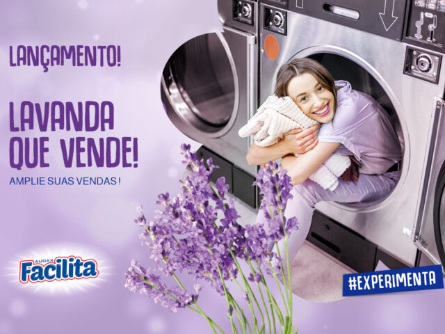Lavanda que Vende: Lava Roupas Lavanda